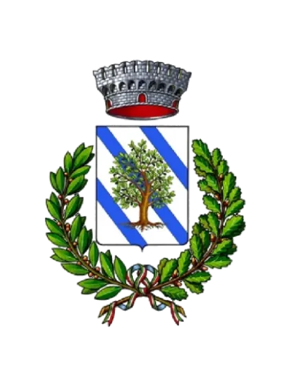 Bando/ Disciplinare di gara con inversione procedimentale